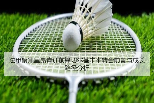 法甲聚焦里昂青训前锋切尔基未来转会前景与成长路径分析